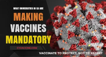California Universities Mandating COVID-19 Vaccines for Students and Staff