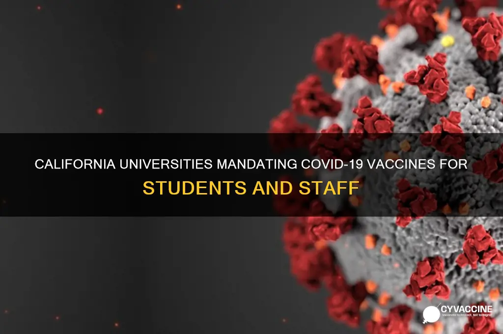 what universities in ca are making vaccines mandatory