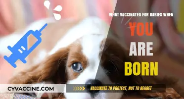 Born Protected: The Importance of Early Rabies Vaccination for Newborns
