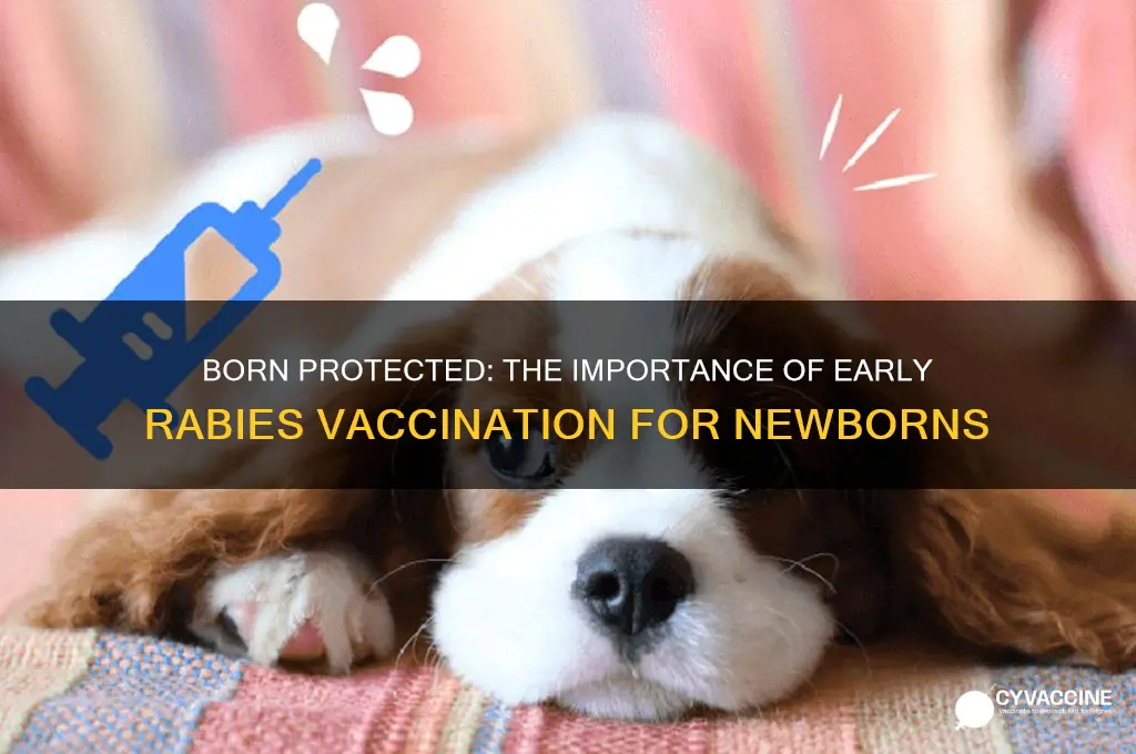 what vaccinated for rabies when you are born