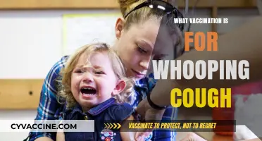 Whooping Cough Vaccination: Essential Protection for All Ages Explained