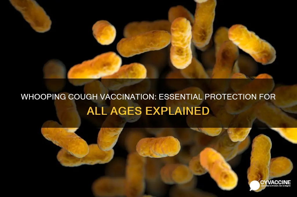 what vaccination is for whooping cough