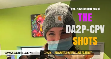 DA2P-CPV Shots: Essential Vaccinations for Your Pet's Health Explained