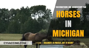 Michigan Horse Vaccination Requirements: Essential Shots for Equine Health