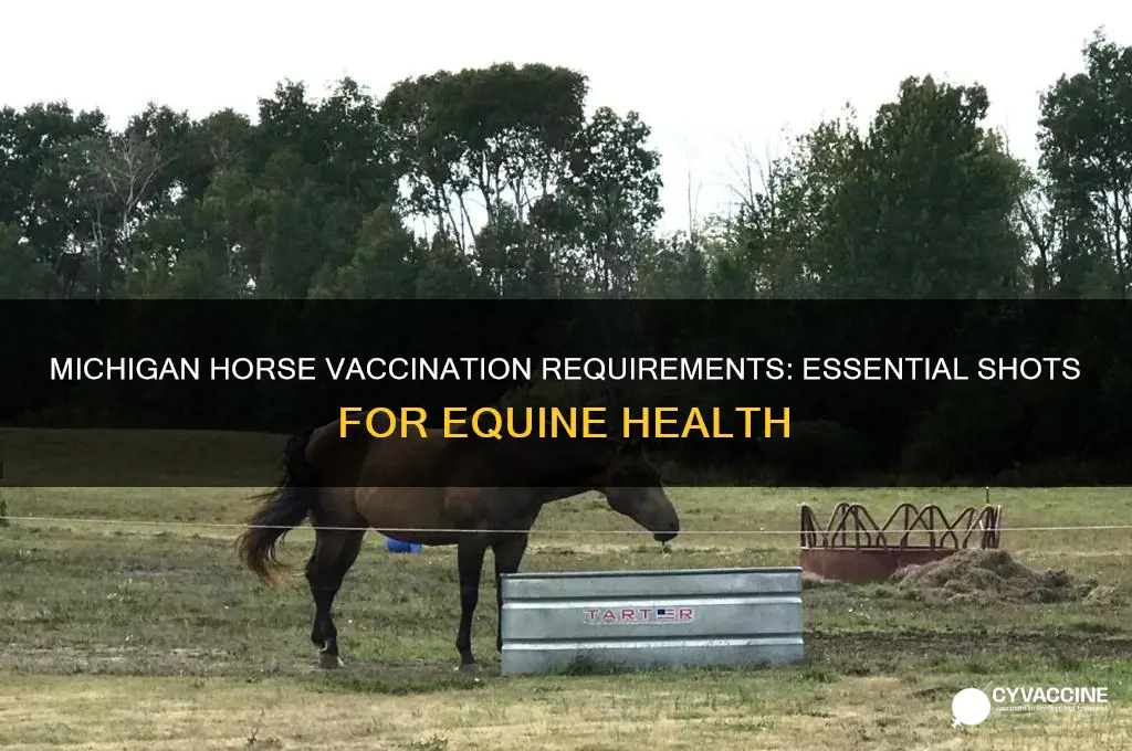 what vaccinations are mandatory for horses in michigan