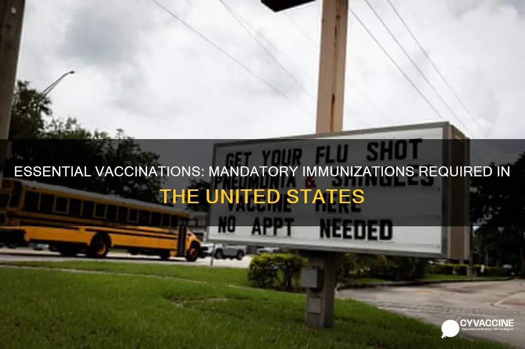 what vaccinations are mandatory in the united states