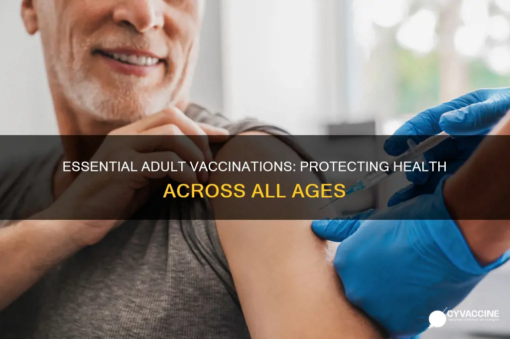 what vaccinations are recommended for the adult population
