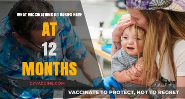 Essential 12-Month Baby Vaccinations: A Parent's Guide to Immunizations