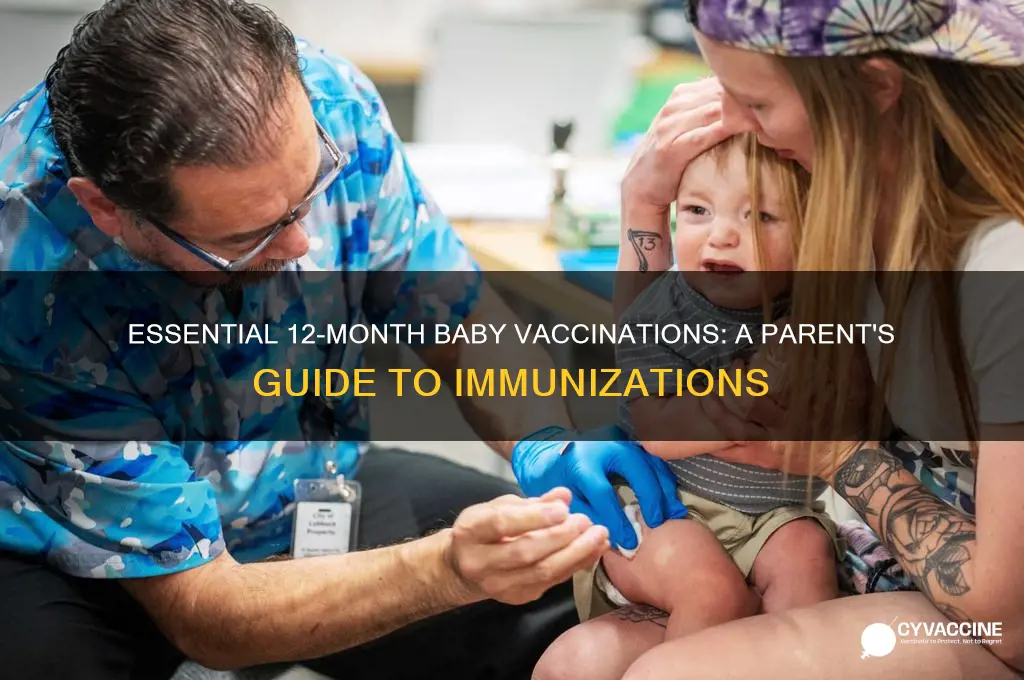 what vaccinations do babies have at 12 months