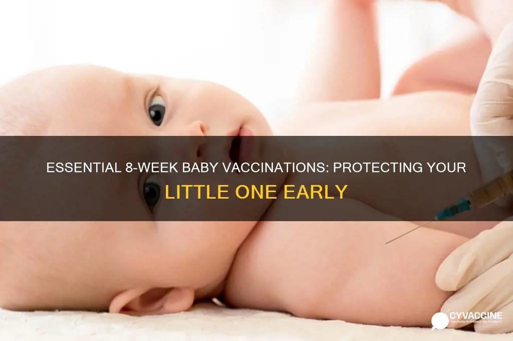 what vaccinations do babies have at 8 weeks