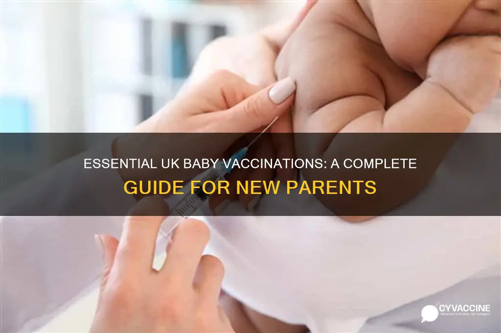 what vaccinations do babies have in the uk