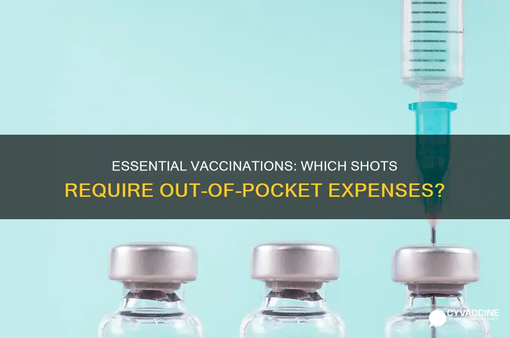 what vaccinations do i have to pay for