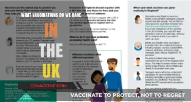 Essential UK Vaccinations: A Comprehensive Guide to Immunisations Available
