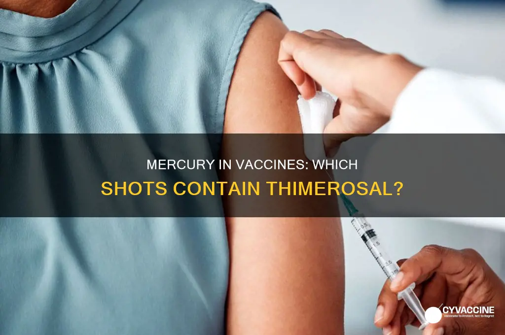 what vaccinations have mercury in them