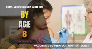 Essential Childhood Vaccines: A Complete Guide by Age 6
