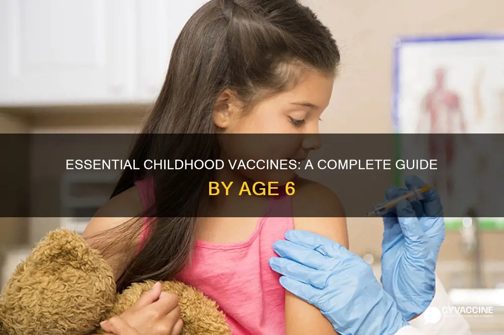 what vaccinations should a child have by age 6
