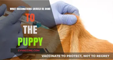 Essential Puppy Vaccinations: A Complete Guide for New Pet Owners