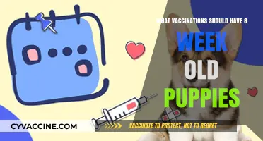 Essential Puppy Vaccinations: Protecting Your 8-Week-Old Furry Friend