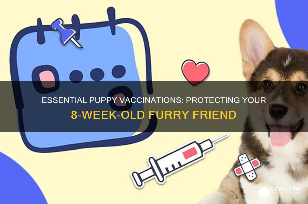 what vaccinations should have 8 week old puppies