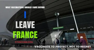 Essential Vaccinations to Get Before Traveling from France: A Comprehensive Guide