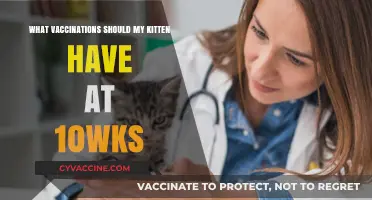 Essential Kitten Vaccinations: Protecting Your 10-Week-Old Feline Friend