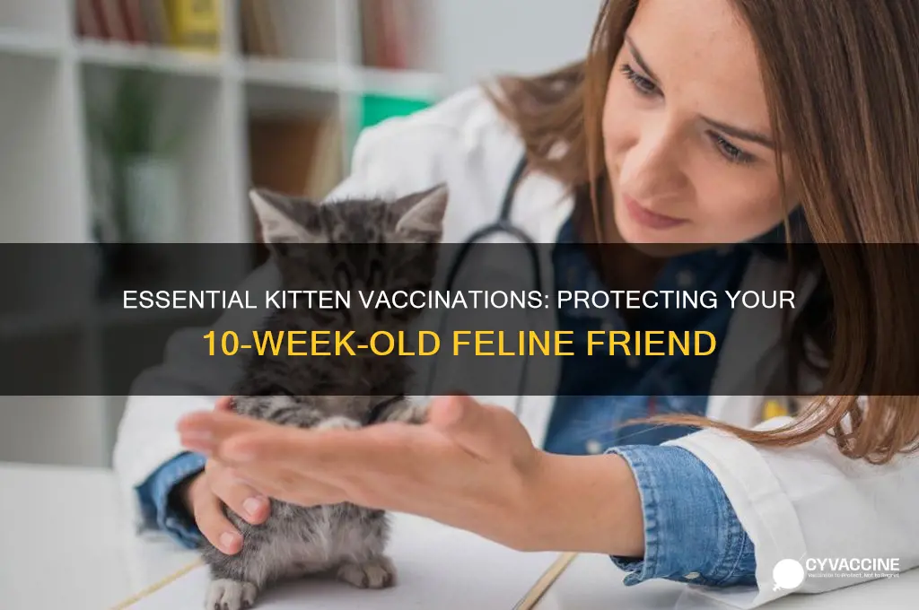 what vaccinations should my kitten have at 10wks