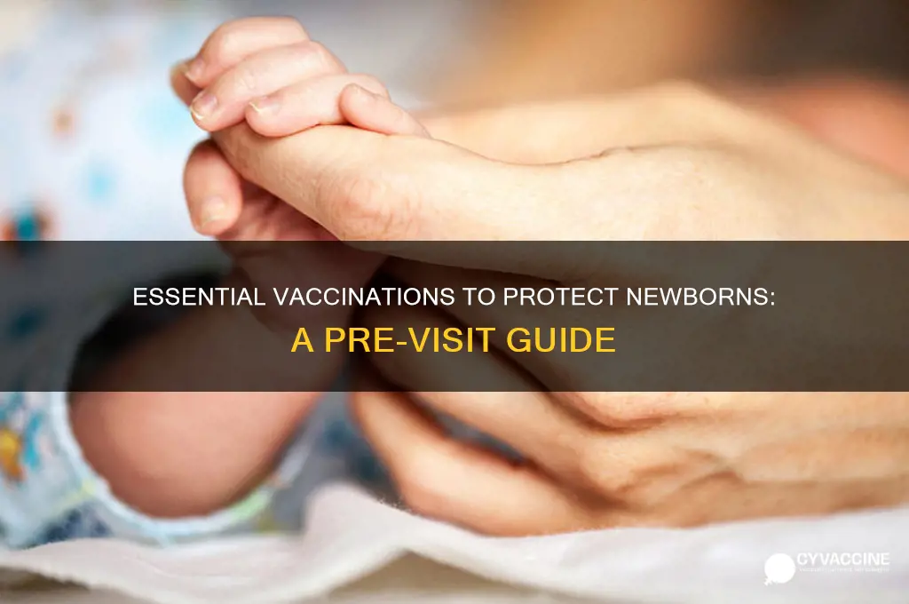 what vaccinations should you have before seeing a newborn baby