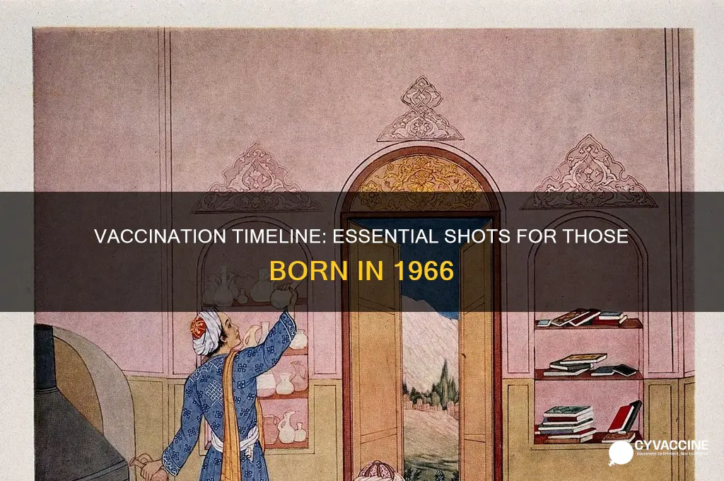 what vaccinations would a person born in 1966 have had