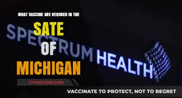 Michigan's Required Vaccines: A Comprehensive Guide for Residents