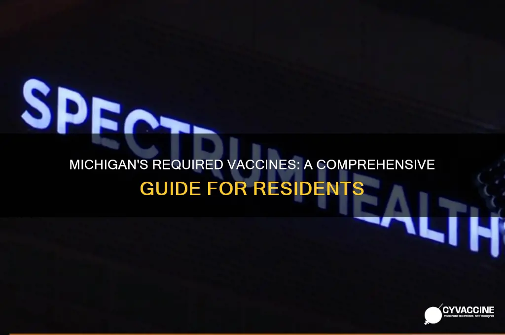what vaccine are requred in the sate of michigan