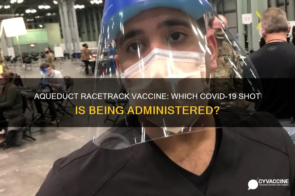 what vaccine are they giving at aqueduct racetrack