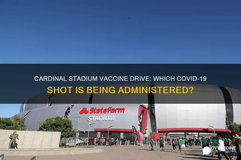 what vaccine are they giving at cardinal stadium