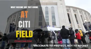 Citi Field Vaccine Clinic: Which COVID-19 Shot is Being Administered?