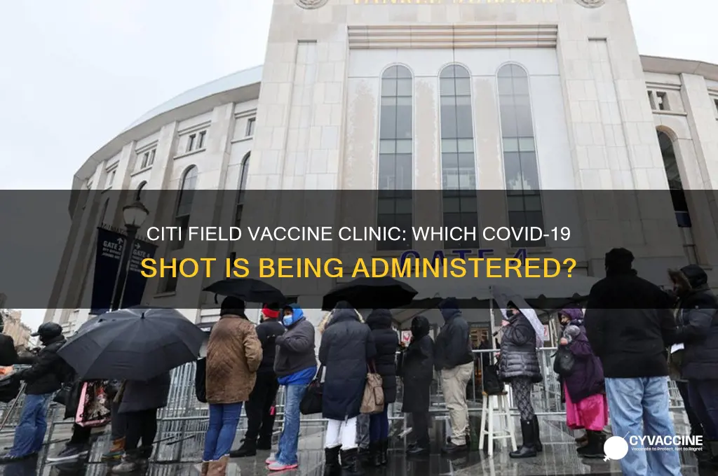 what vaccine are they giving at citi field