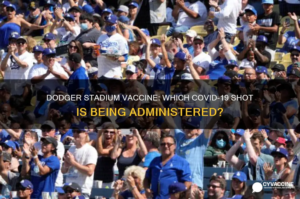what vaccine are they giving at dodger stadium
