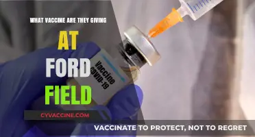 Ford Field Vaccine Clinic: Which COVID-19 Vaccine is Being Administered?