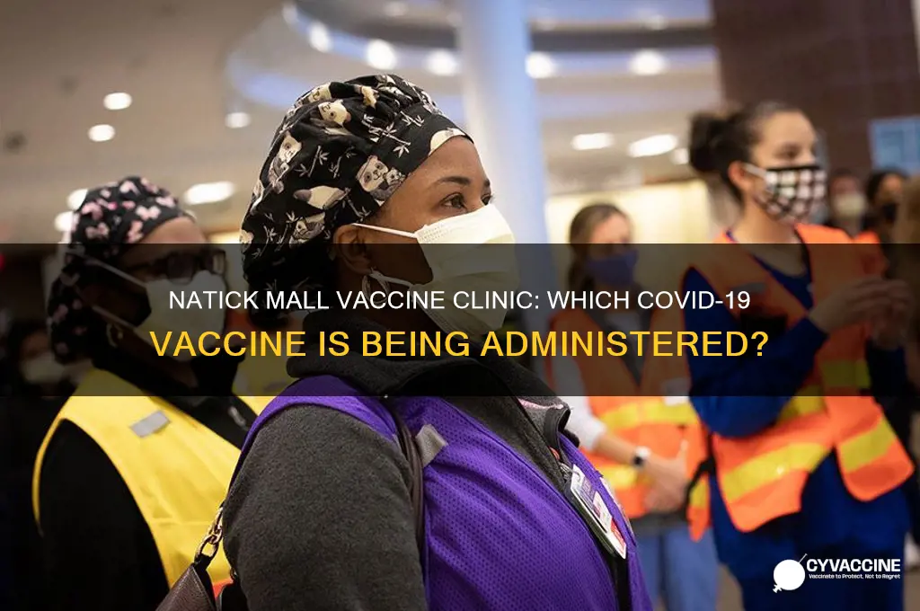 what vaccine are they giving at natick mall