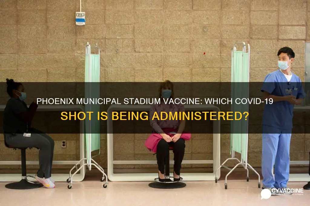 what vaccine are they giving at phoenix municipal stadium