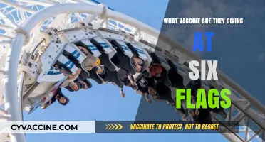 Six Flags Vaccine Offerings: What Shots Are Available at the Park?