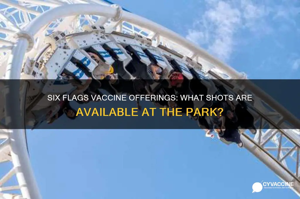 what vaccine are they giving at six flags