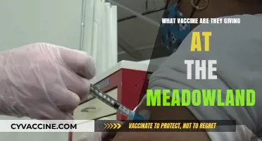 Meadowlands Vaccine Update: Which COVID-19 Shot is Being Administered?