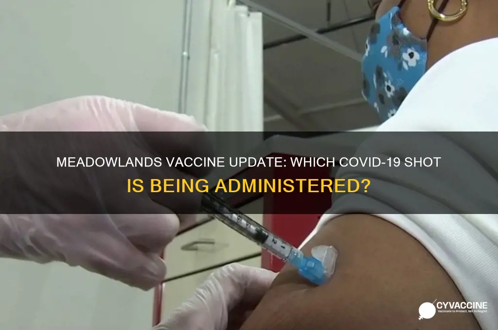 what vaccine are they giving at the meadowlands
