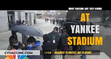 Yankee Stadium Vaccine: Which COVID-19 Shot is Being Administered?