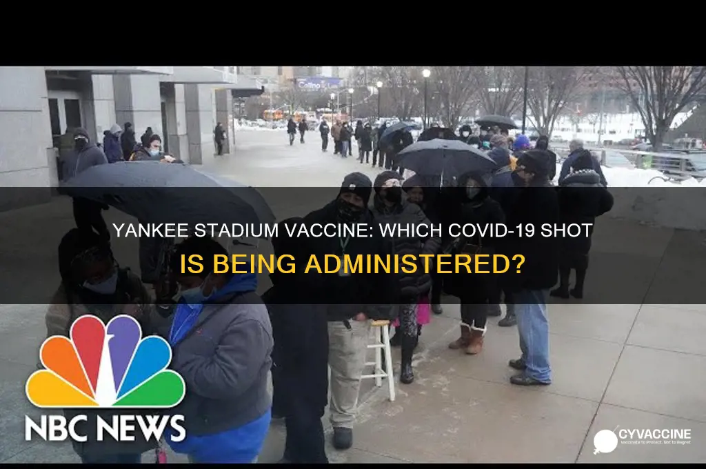 what vaccine are they giving at yankee stadium