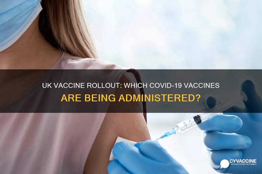 what vaccine are they giving in the uk