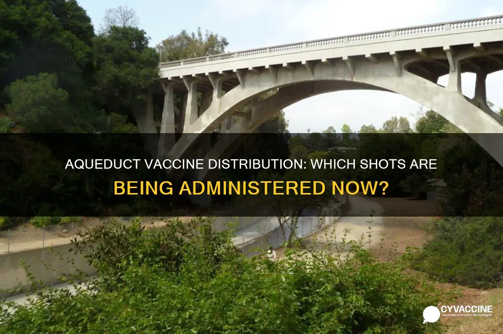 what vaccine are they giving out at aqueduct
