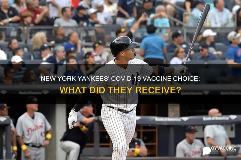 what vaccine did the new york yankees have