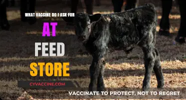 Choosing the Right Livestock Vaccine: A Feed Store Guide