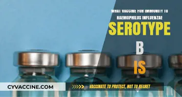 Understanding the Hib Vaccine: Immunity Against Haemophilus Influenzae Type B