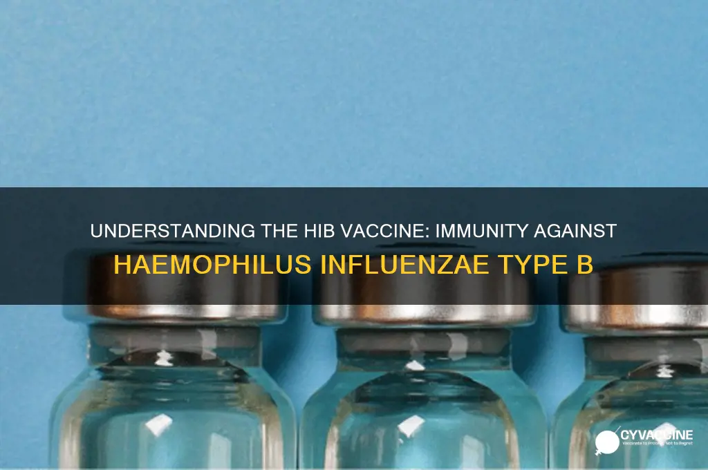 what vaccine for immunity to haemophilus influenzae serotype b is